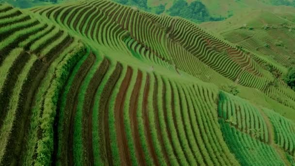 Beautiful Aerial View Agricultural Tourist Hills Terasering Panyaweuyan Majalengka Indonesia — Stock videók