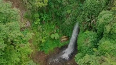 Ormanın güzel manzarası