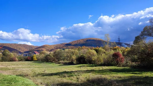 Güzel Bir Sonbahar Parkı Manzarası — Stok fotoğraf