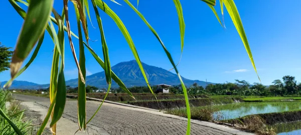 Güzel Mavi Gökyüzü Olan Arjuna Dağı Manzarası Malang Regency Den — Stok fotoğraf