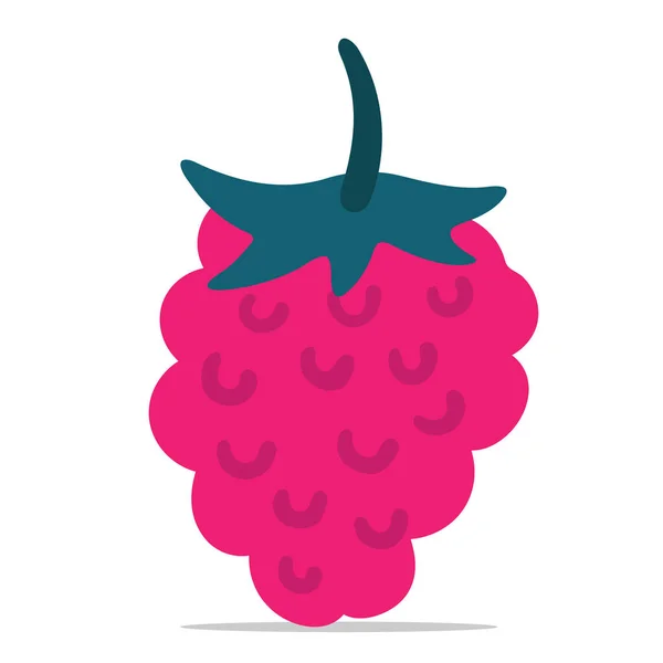 Hand Drawn Raspberry Leaf Vector Illustration Raspberry Icon Clipart Raspberry — ストックベクタ