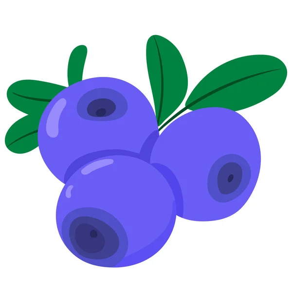 Blueberry Vector White Background Cartoon Hand Drawn Style Flat Fruite — Stock vektor