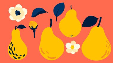 Sarı armut koleksiyonu. Beyaz armut klip sanatında vektör armudu izole edildi.