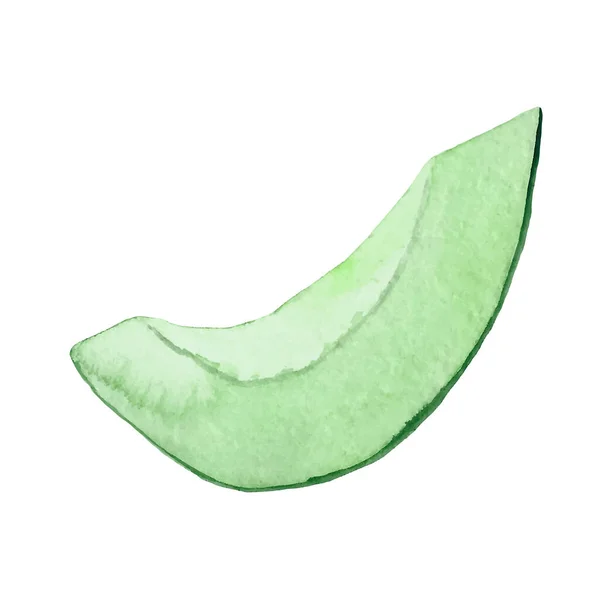 Aquarel Hand Geschilderd Vector Avocado Illustratie Geïsoleerd Witte Achtergrond — Stockvector