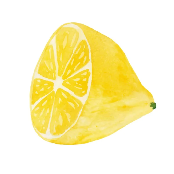 Hand Drawn Watercolor Vector Lemon Isolated White Background Fruit Lemon — ストックベクタ