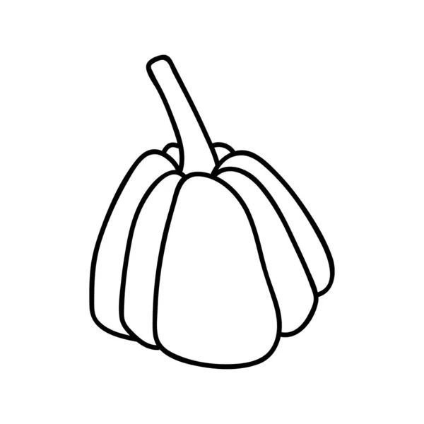 Citrouille Dessinée Main Illustration Vectorielle Doodle Isolé Sur Fond Blanc — Image vectorielle