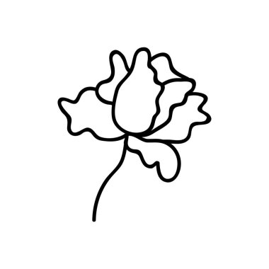 Tek elle çizilmiş çiçek kafası. Çizimler vektör illüstrasyonu. Beyaz bir arkaplanda izole edilmiş.