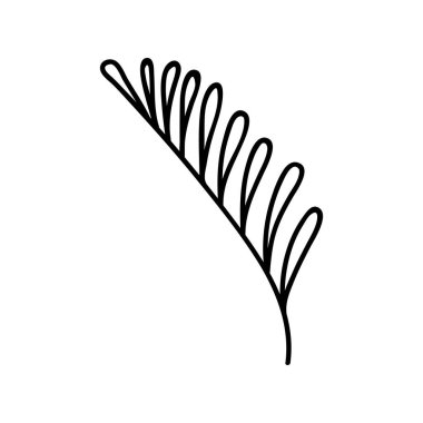 Tek el çizilmiş dal. Doodle vektör çizimi. Beyaz bir arkaplanda izole edilmiş.