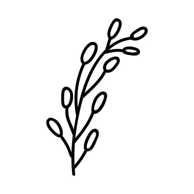 Tek el çizilmiş dal. Doodle vektör çizimi. Beyaz bir arkaplanda izole edilmiş.