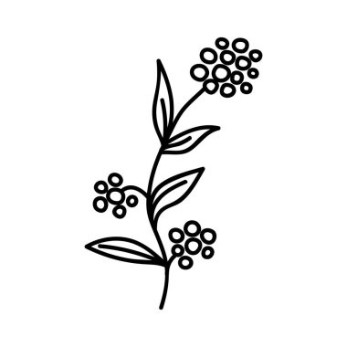 Çiçekli tek el çizilmiş dal. Doodle vektör çizimi. Beyaz bir arkaplanda izole edilmiş.