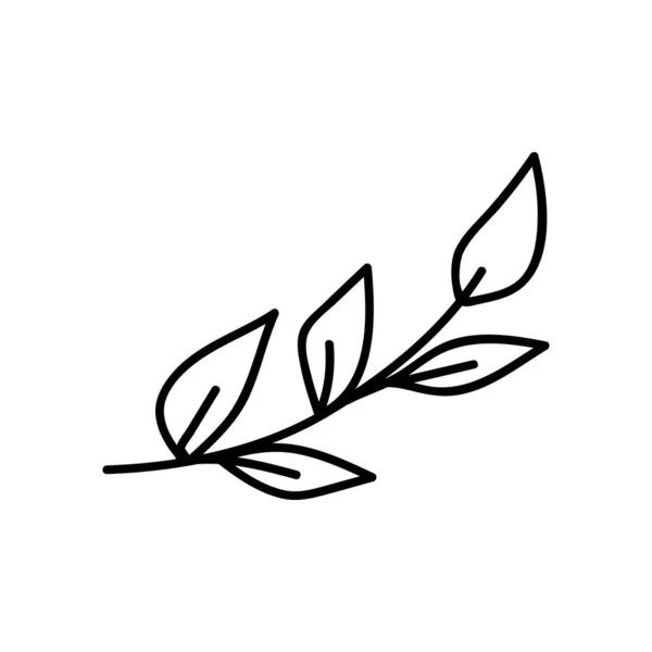 Einhändig Gezogener Zweig Doodle Vektor Illustration Isoliert Auf Weißem Hintergrund — Stockvektor