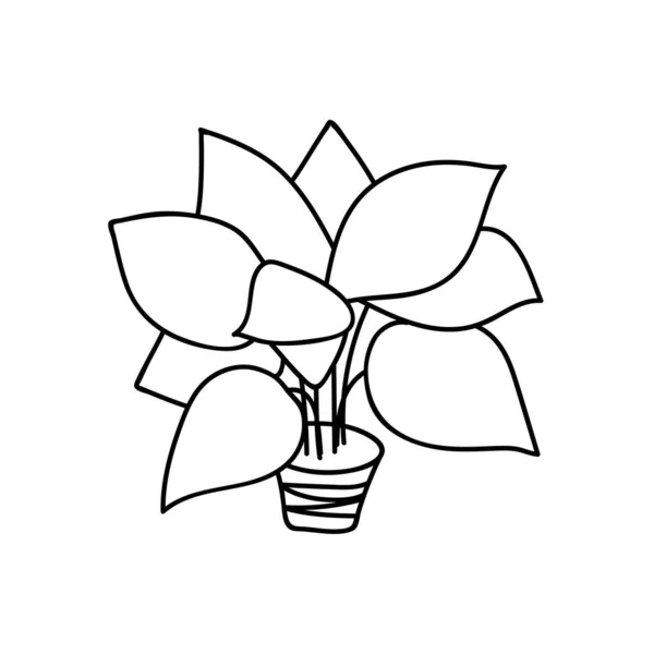 Única Planta Sala Desenhada Mão Ilustração Vetorial Doodles — Vetor de Stock