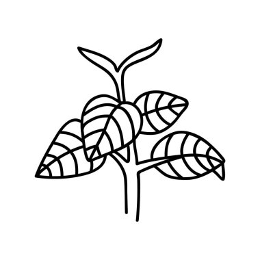 Tek el çizilmiş dal. Doodle vektör çizimi. Ev dekorasyonu ögeleri