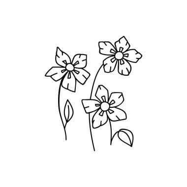 Tek elle çizilmiş çiçek. Çizimler vektör illüstrasyonu. Beyaz bir arkaplanda izole edilmiş.