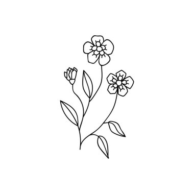 Tek elle çizilmiş çiçek. Çizimler vektör illüstrasyonu. Beyaz bir arkaplanda izole edilmiş.