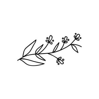 Çiçekli tek el çizilmiş dal. Doodle vektör çizimi. Beyaz bir arkaplanda izole edilmiş.