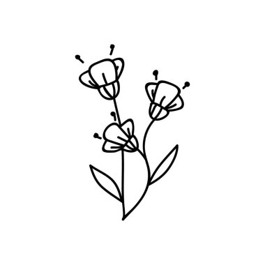 El çizimi çiçekler. Çizimler vektör illüstrasyonu. Beyaz bir arkaplanda izole edilmiş.