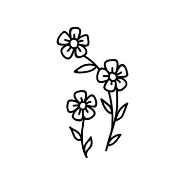 Tek elle çizilmiş çiçek. Çizimler vektör illüstrasyonu. Beyaz bir arkaplanda izole edilmiş.