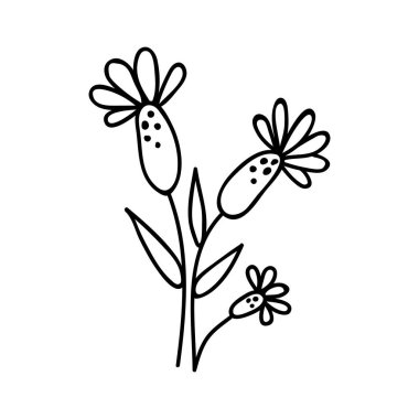 El çizimi çiçekler. Çizimler vektör illüstrasyonu. Beyaz bir arkaplanda izole edilmiş.