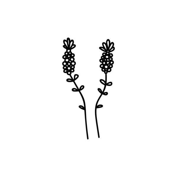 Fiore Disegnato Mano Singola Illustrazione Vettoriale Doodles Isolato Sfondo Bianco — Vettoriale Stock