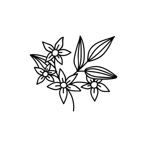 Fiore Disegnato Mano Singola Illustrazione Vettoriale Doodles Isolato Sfondo Bianco — Vettoriale Stock