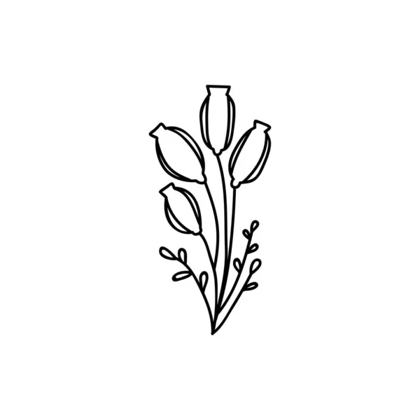 手描きの花 ベクトルイラストをかわす 白い背景に隔離された — ストックベクタ