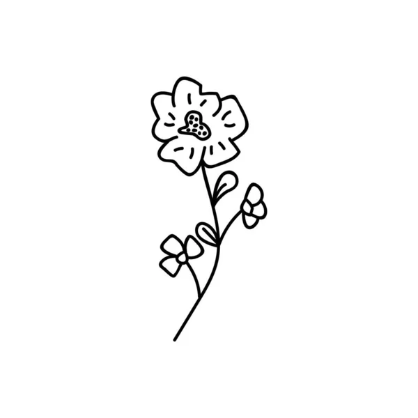 一本の手描き花 ベクトルイラストをかわす 白い背景に隔離された — ストックベクタ