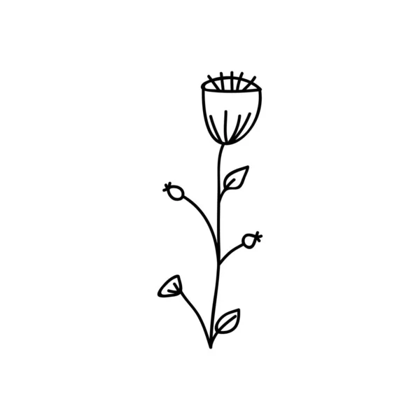 Квітка Намальована Однією Рукою Doodles Векторні Ілюстрації Ізольовані Білому Тлі — стоковий вектор