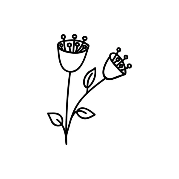 Ένα Ζωγραφισμένο Στο Χέρι Λουλούδι Εικονογράφηση Φορέα Doodles Απομονωμένα Λευκό — Διανυσματικό Αρχείο