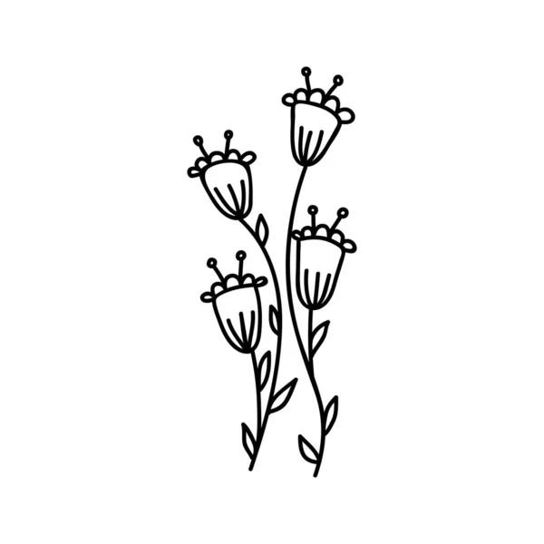 Hand Drawn Flowers Doodles Vector Illustration Isolated White Background — Image vectorielle
