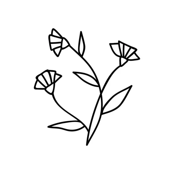 一本の手描き花 ベクトルイラストをかわす 白い背景に隔離された — ストックベクタ