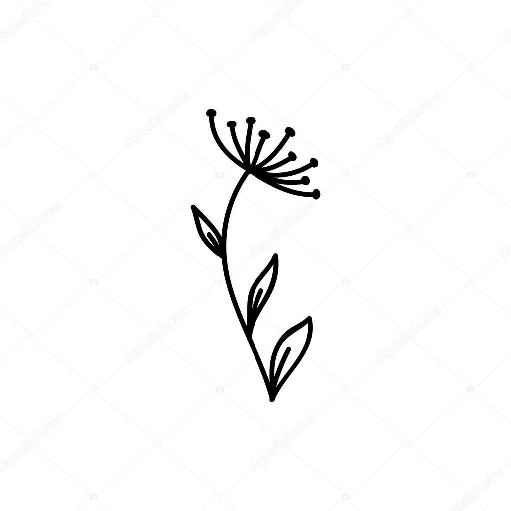 Single hand drawn twig. Doodle vector illustration. Isolated on a white background.