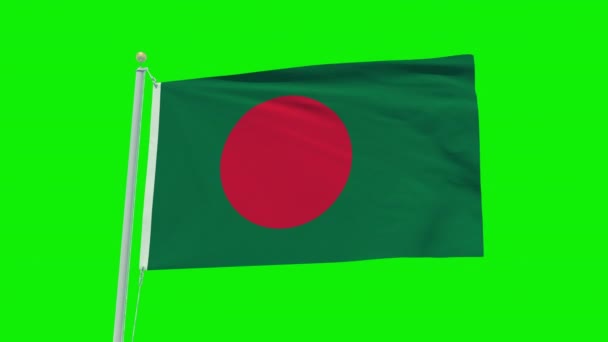 Bezproblemowa Animacja Flagi Bangladeszu Zielonym Tle Ekranu — Wideo stockowe