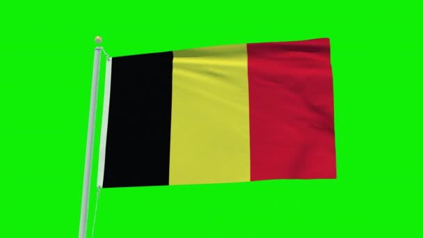 Seamless Loop Animation Belgium Flag Green Screen Background — 비디오