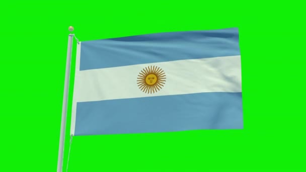 Seamless Loop Animation Argentina Flag Green Screen Background — Vídeo de stock