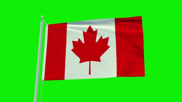 Yeşil Ekran Arka Planında Kanada Bayrağının Kusursuz Döngü Animasyonu — Stok video