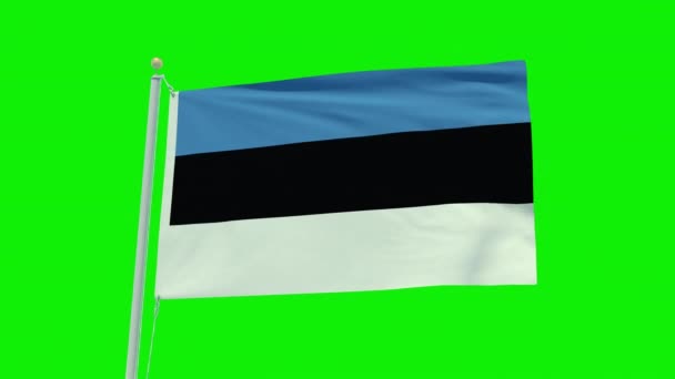 Seamless Loop Animation Estonia Flag Green Screen Background — Video Stock