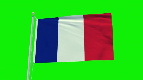 Seamless Loop Animation France Flag Green Screen Background — Vídeo de Stock