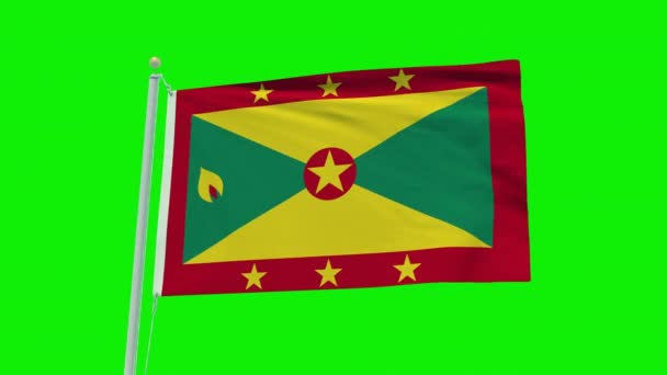 Seamless Loop Animation Grenada Flag Green Screen Background — Stock video