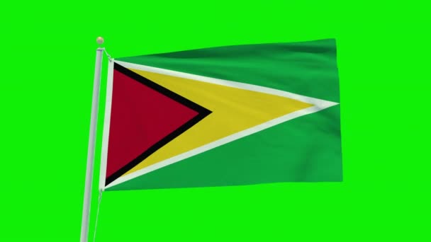 Seamless Loop Animation Guyana Flag Green Screen Background — 비디오