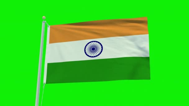 Seamless Loop Animation India Flag Green Screen Background — 비디오