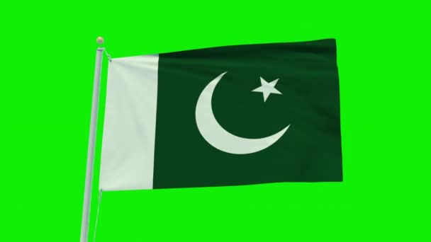 Бесшовная Анимация Флага Пакистана Зеленом Фоне Экрана — стоковое видео
