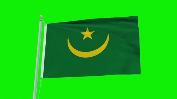 Бесшовная Анимация Флага Мавритании Зеленом Фоне Экрана — стоковое видео