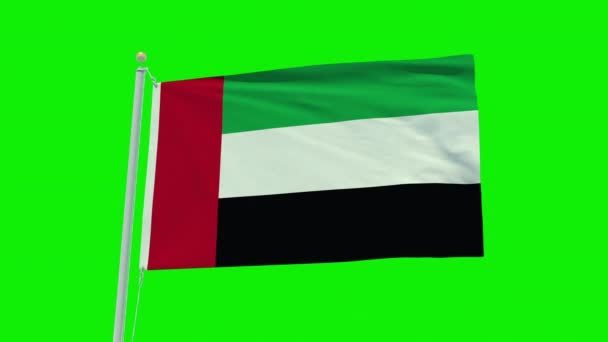Seamless Loop Animation United Arab Emirates Flag Green Screen Background — Vídeo de stock