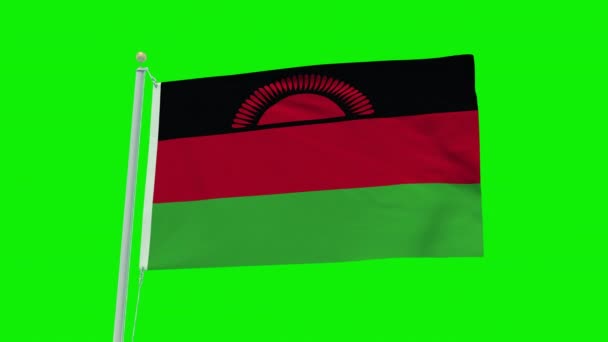 Seamless Loop Animation Malawi Flag Green Screen Background — Video