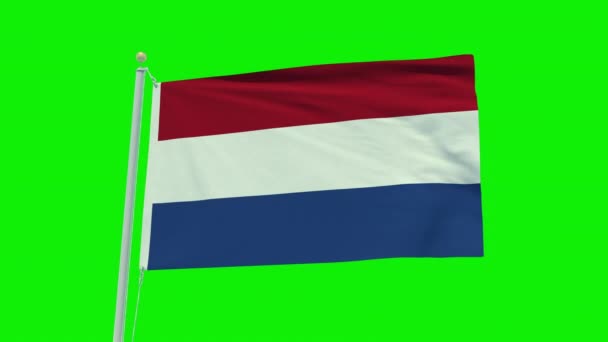Бесшовная Анимация Флага Нидерландов Зеленом Фоне Экрана — стоковое видео