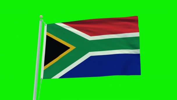 Seamless Loop Animation South Africa Flag Green Screen Background — Wideo stockowe