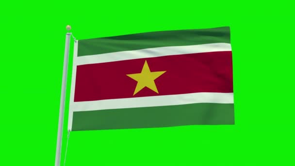 Seamless Loop Animation Suriname Flag Green Screen Background — Stock video