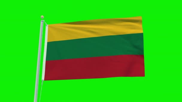 Seamless Loop Animation Lithuania Flag Green Screen Background — Vídeos de Stock