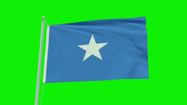 Seamless Loop Animation Somalia Flag Green Screen Background — Stockvideo